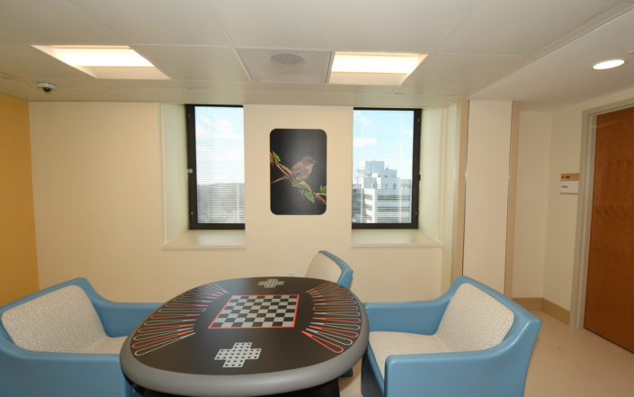 Clinic recreational therapy room